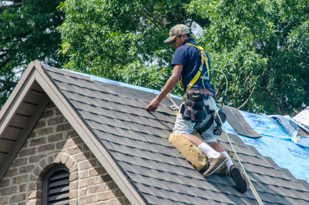 Best Emergency Roof Repair  in Rohnert Park, CA